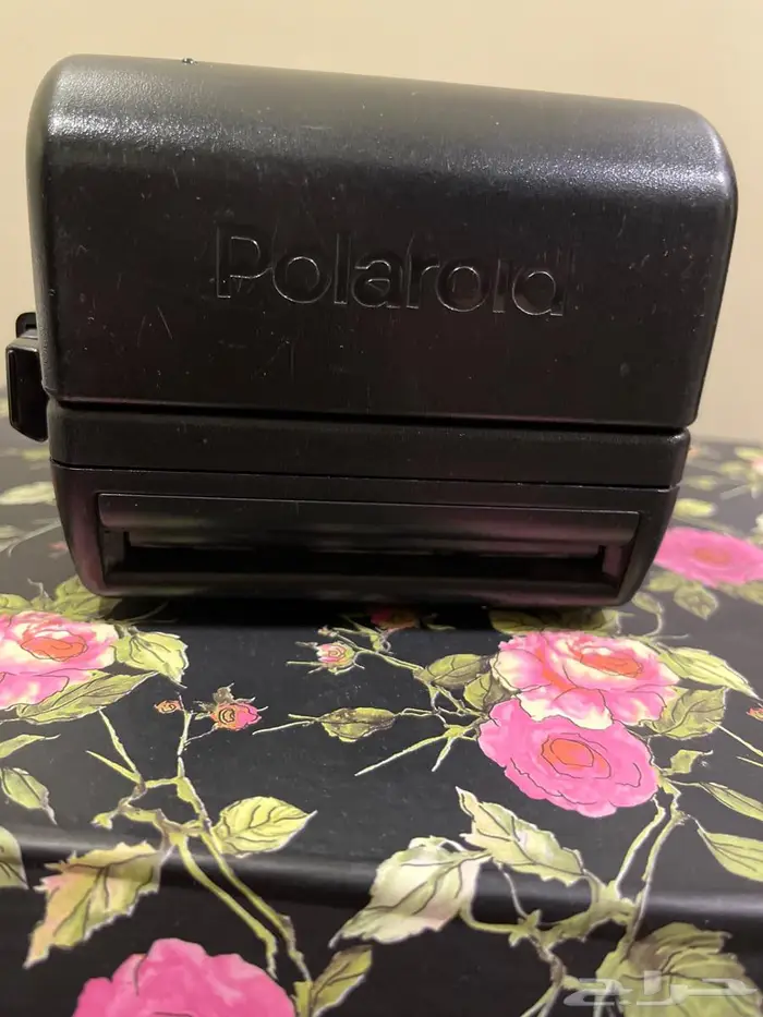 Polarold  1999 1