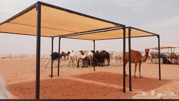 مظلات ابل غرف خشب 3