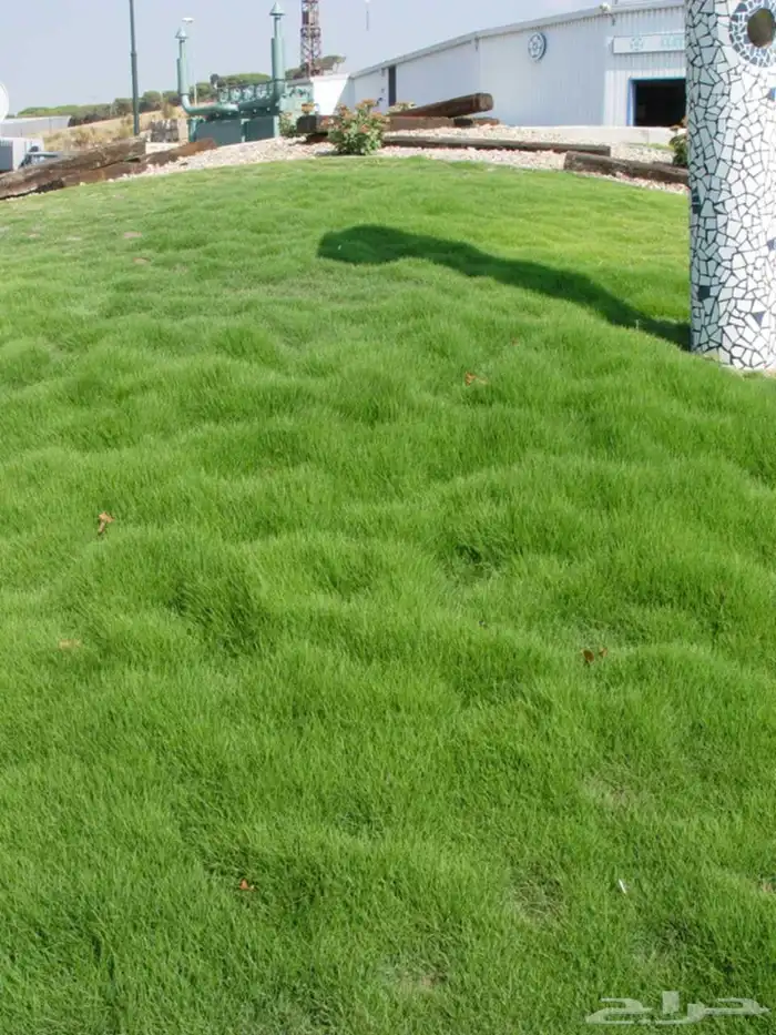 توريد وتركيب ثيل نظيف درجة اولى 3