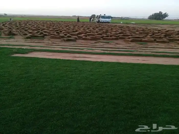 توريد وتركيب ثيل نظيف درجة اولى 0