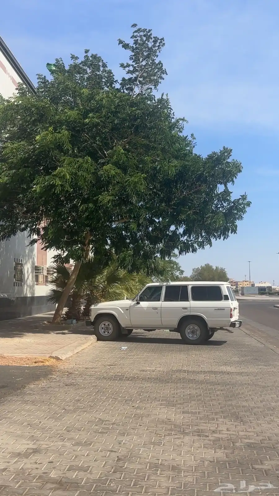لاندكروزر 87 12