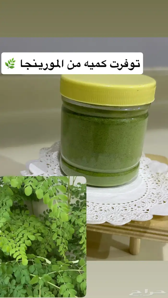 مورينجا 0