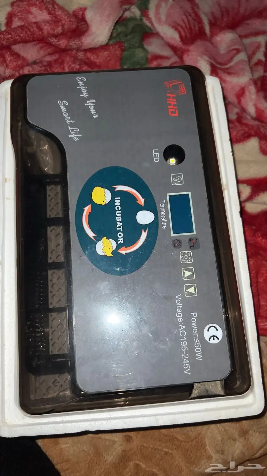 فقاسة 0