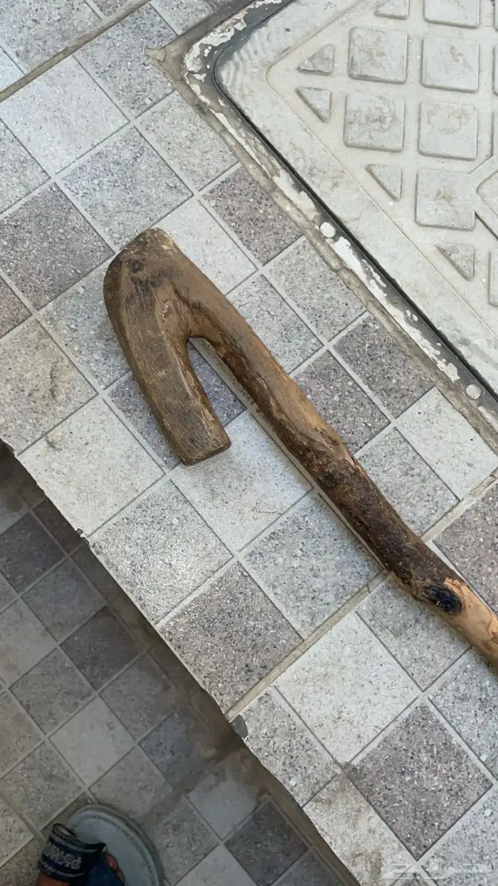 عجرا قويه للبيع 2
