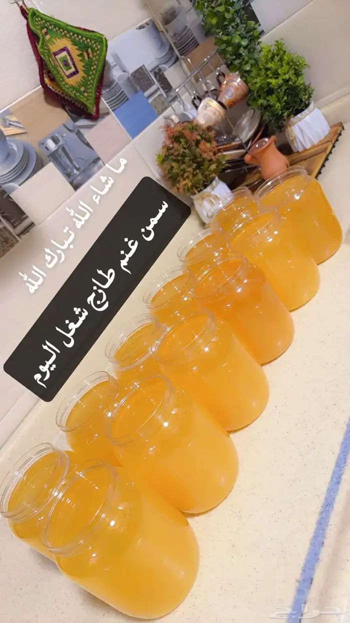 سمن غنم سمن وبقر رضيف 1