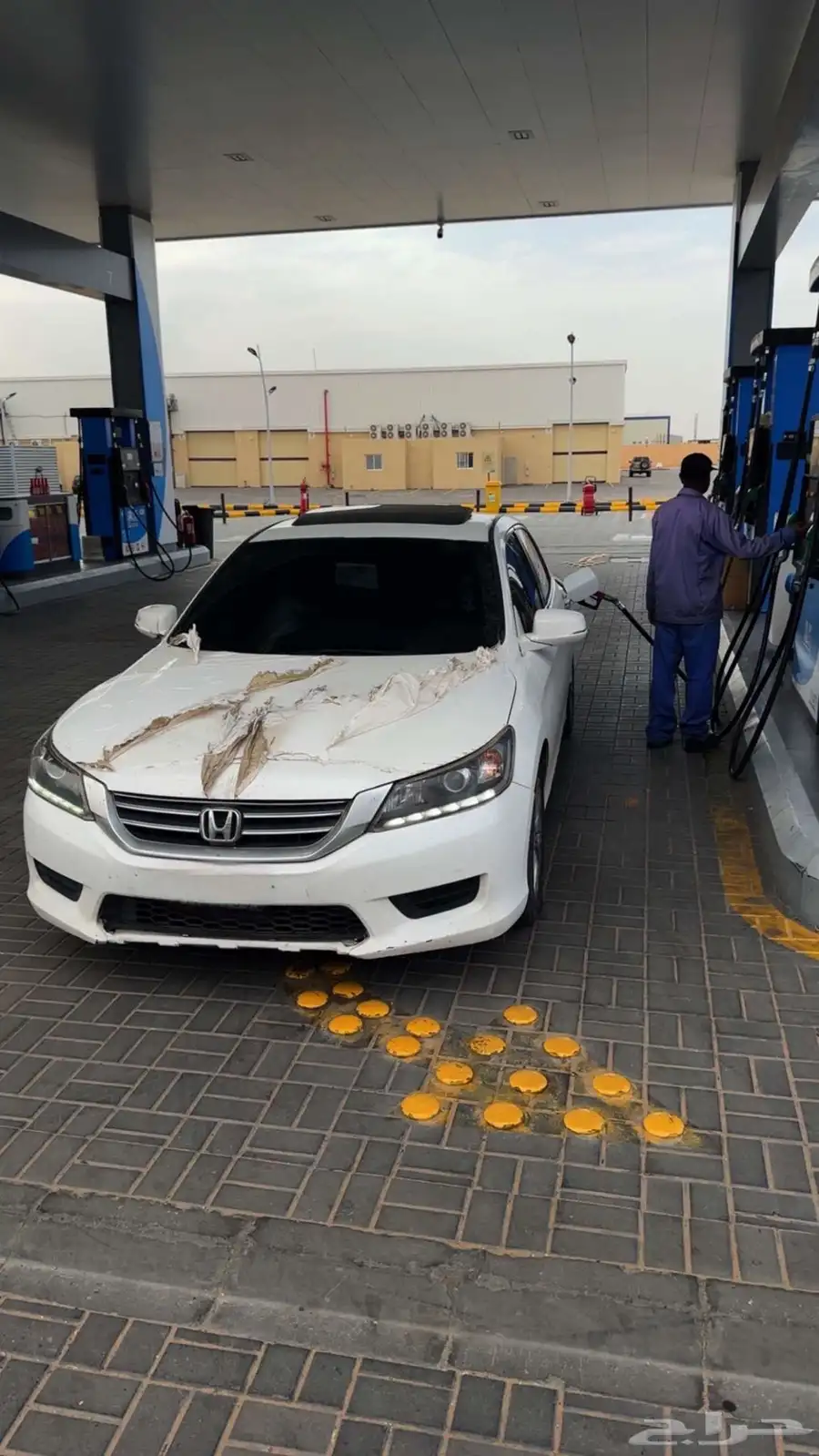 اكورد 2014 5