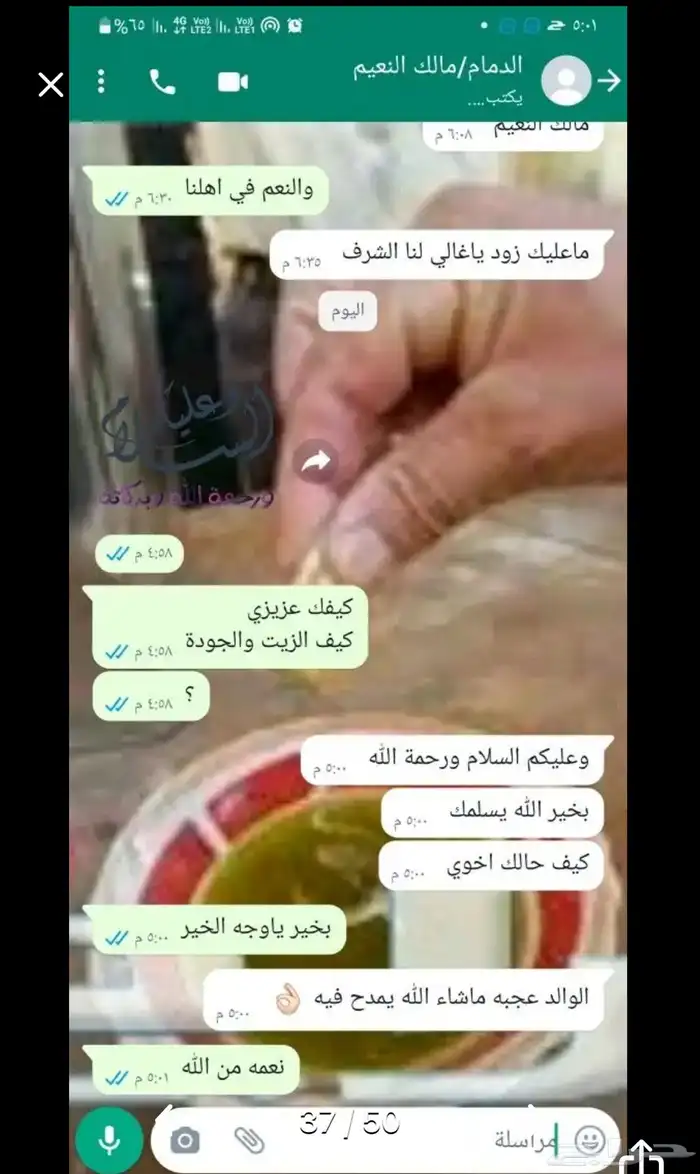 زيت زيتون الفلسطيني بعل عالأمطار شحن لجميع مناطق المملكه 23