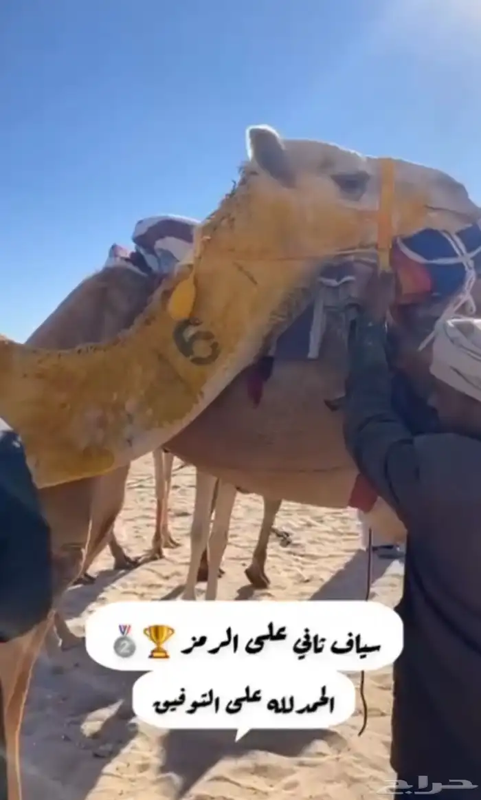 بنت سياف 4