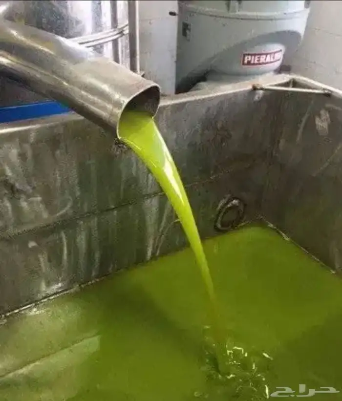 زيت زيتون الفلسطيني بعل عالأمطار شحن لجميع مناطق المملكه 3