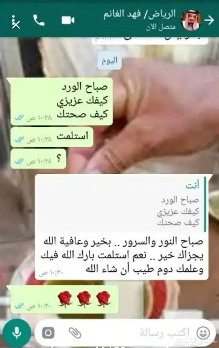 زيت زيتون الفلسطيني بعل عالأمطار شحن لجميع مناطق المملكه 38