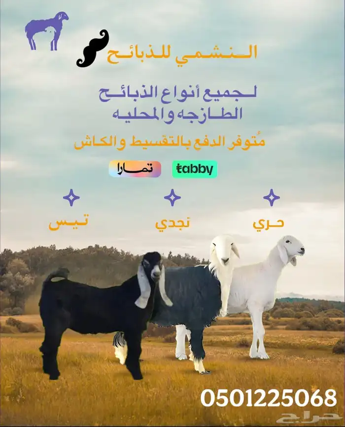ذبائح ب الكاش والتقسيط 0