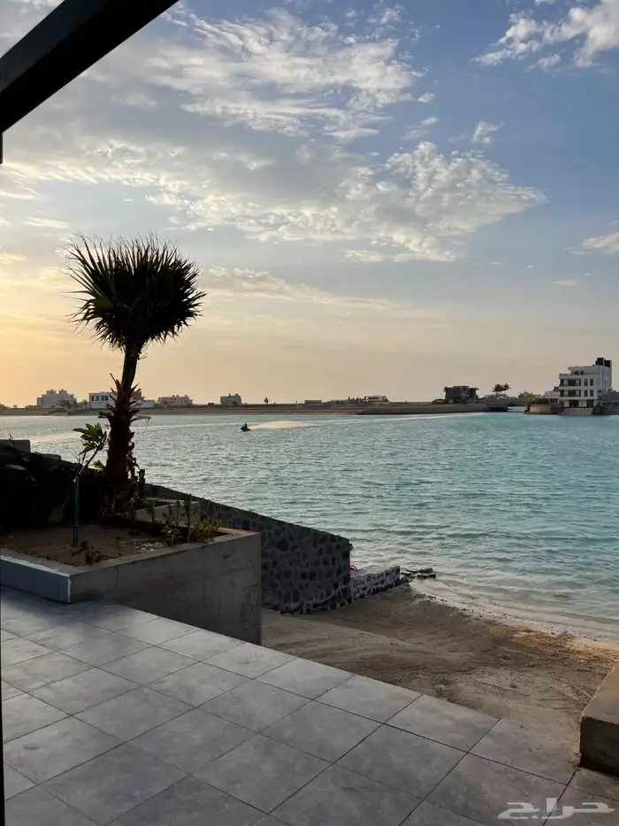 فلا بدرة العروس 4