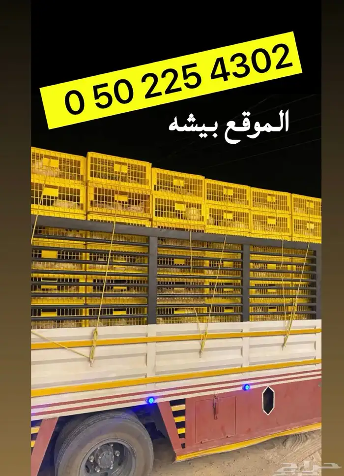 دينات نقل الدجاج 0