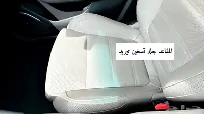 تالسمان 2018 8