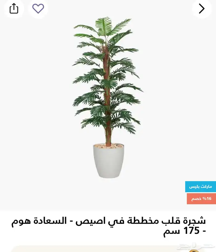 شجرة 0