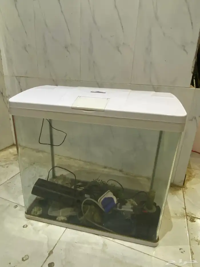 حوض سمك زينة 2