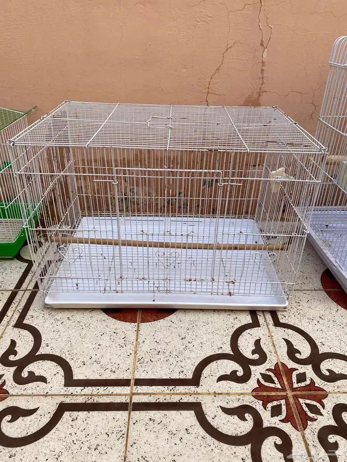 اقفاص كاسكو   601   ستاند 3