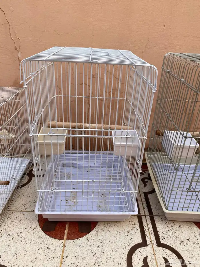 اقفاص كاسكو   601   ستاند 2