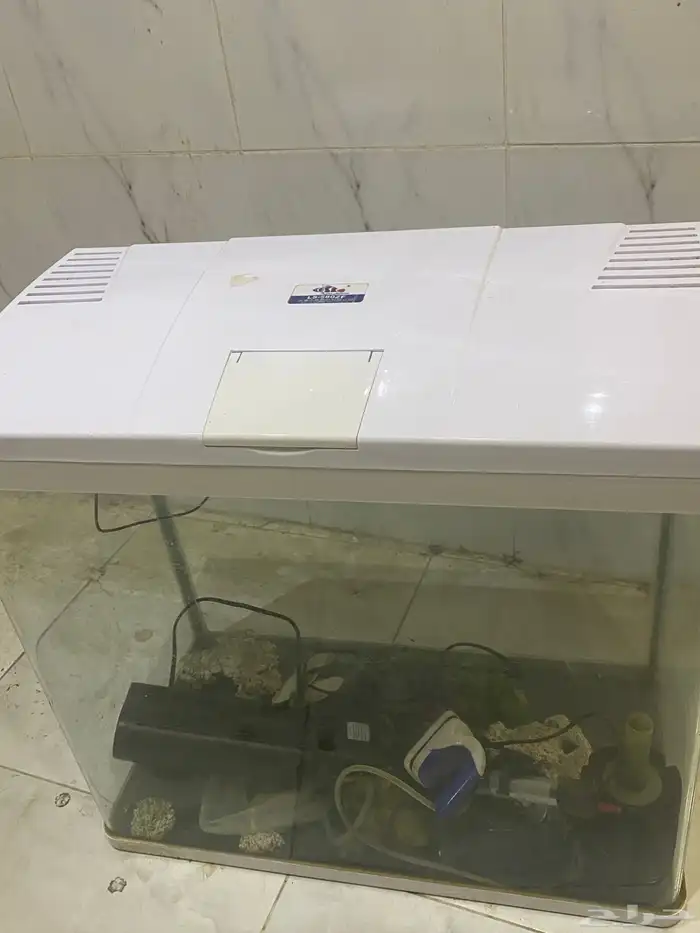 حوض سمك زينة 3