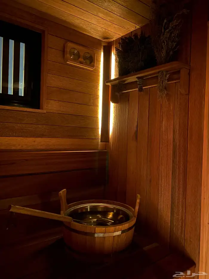 ساونا 1