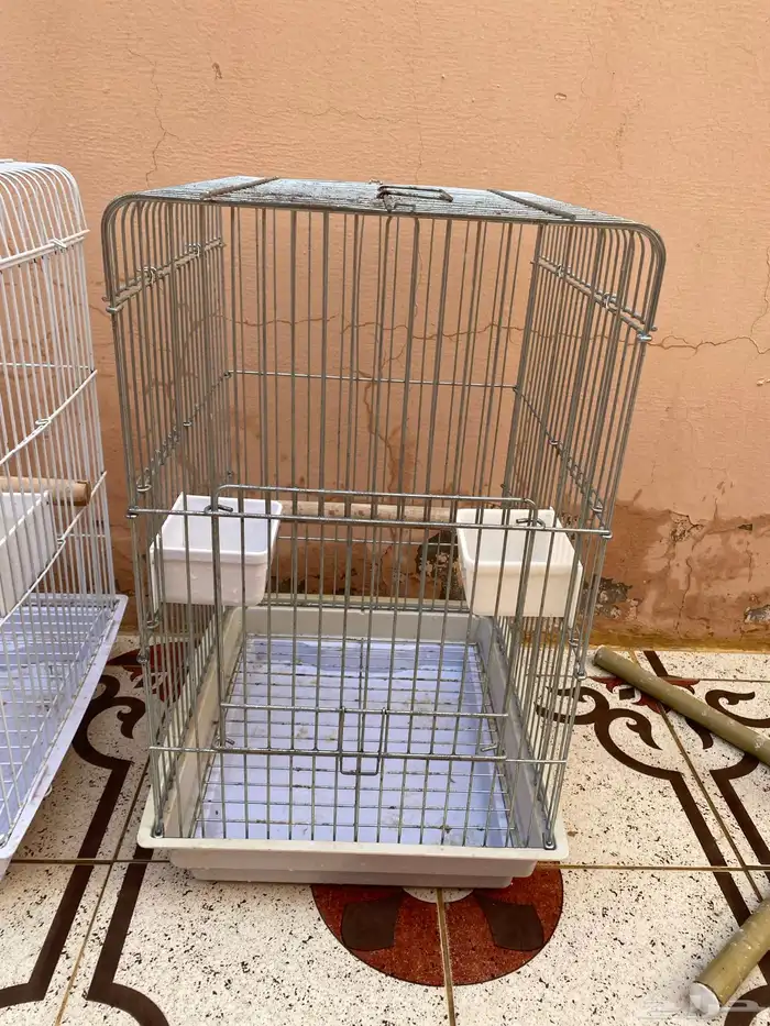 اقفاص كاسكو   601   ستاند 1