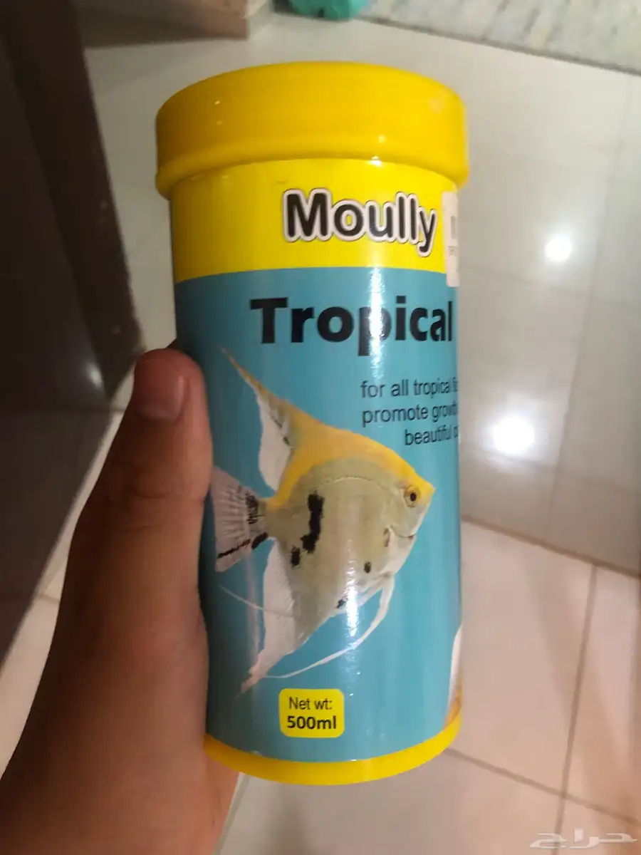 أكل سمك 0