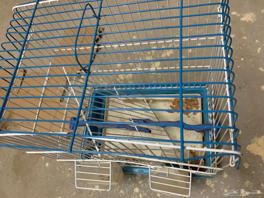 قفص طيور 1