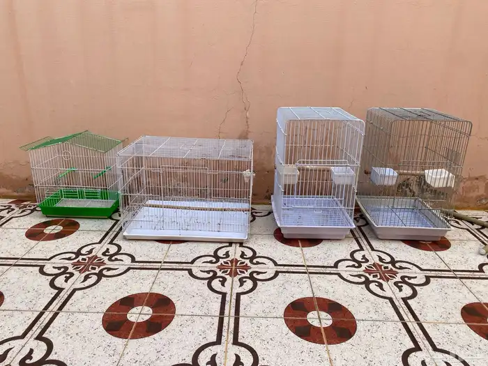 اقفاص كاسكو   601   ستاند 0