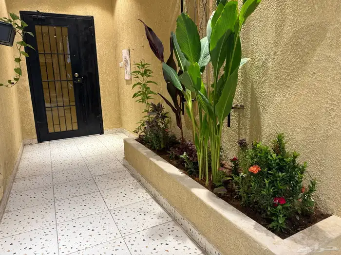 شقق مخدومة للإيجار اليومي والشهري 4