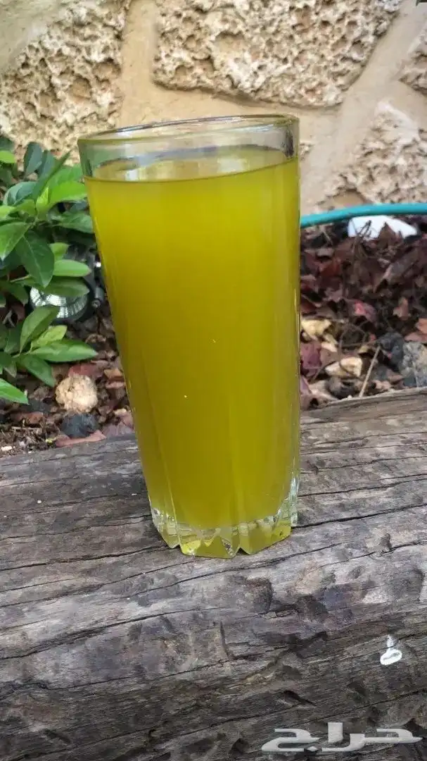 زيت زيتون الفلسطيني بعل عالأمطار شحن لجميع مناطق المملكه 24