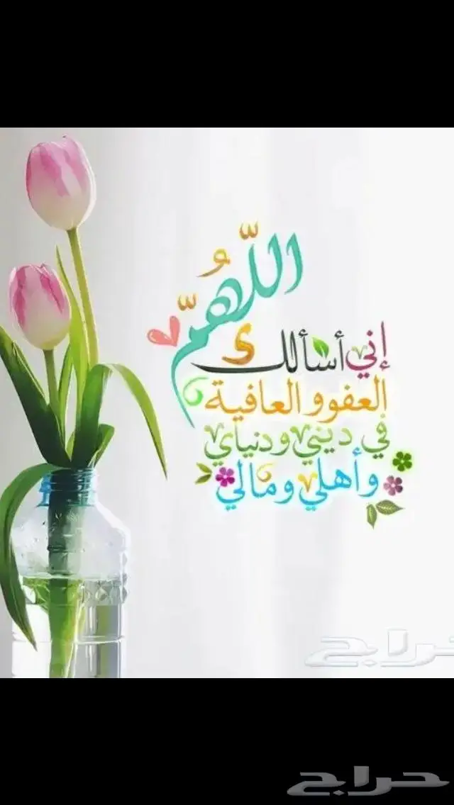 جديد فضة خواتم صيني جوده عالية ملكية اصلي بختم عيار 925 46