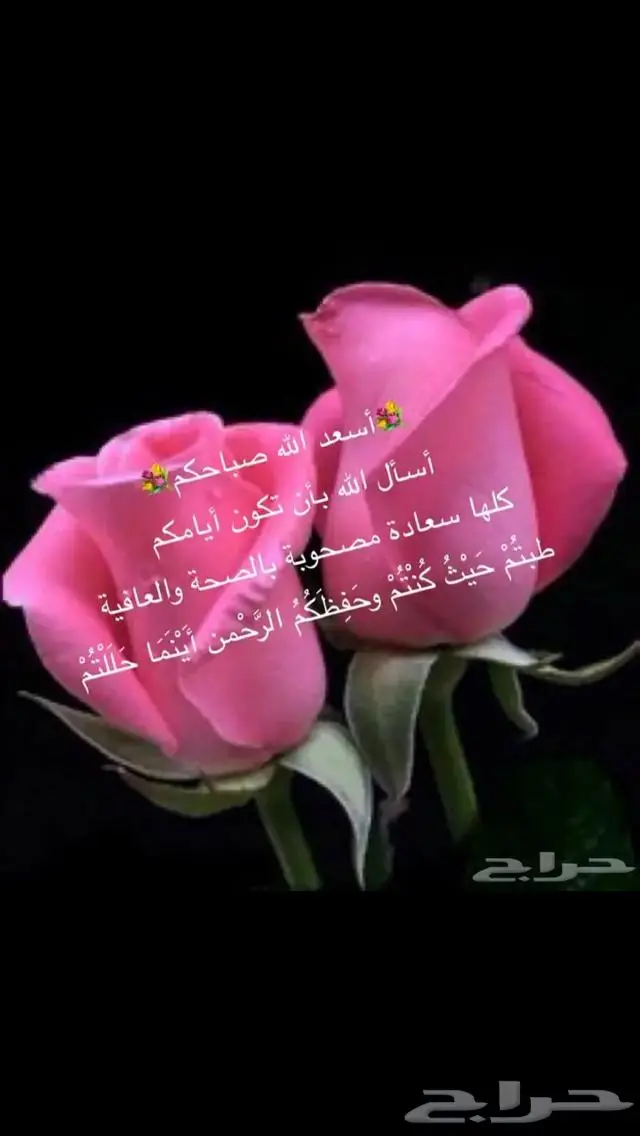 جديد فضة خواتم صيني جوده عالية ملكية اصلي بختم عيار 925 62