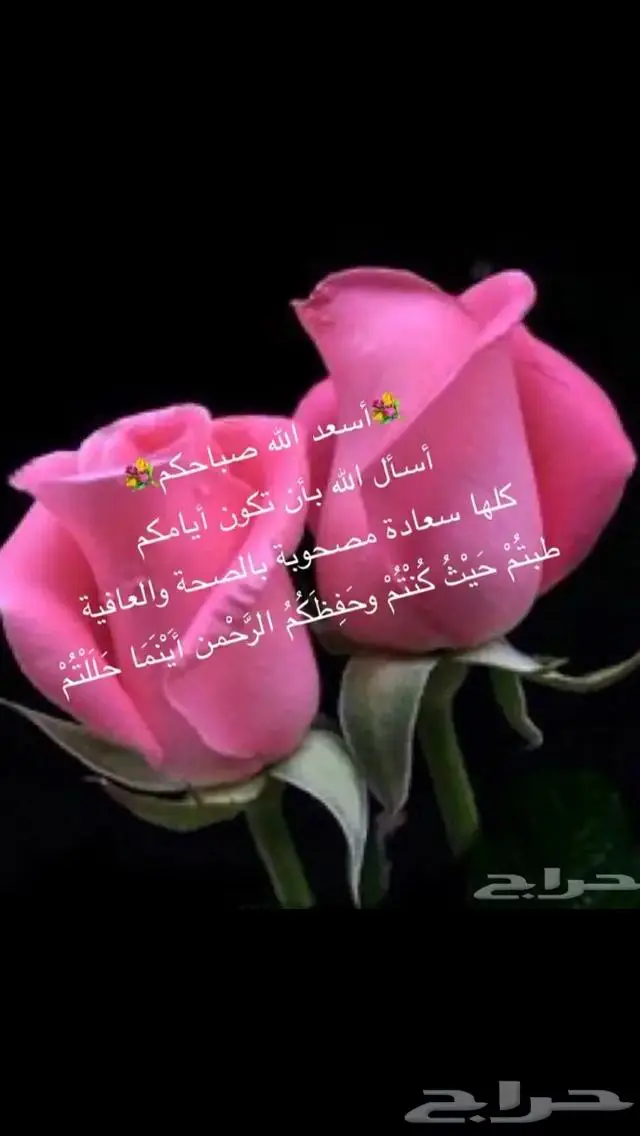 جديد فضة خواتم صيني جوده عالية ملكية اصلي بختم عيار 925 58
