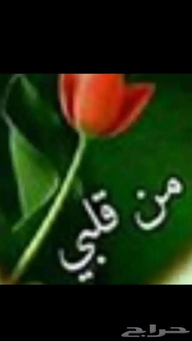 جديد فضة خواتم صيني جوده عالية ملكية اصلي بختم عيار 925 75
