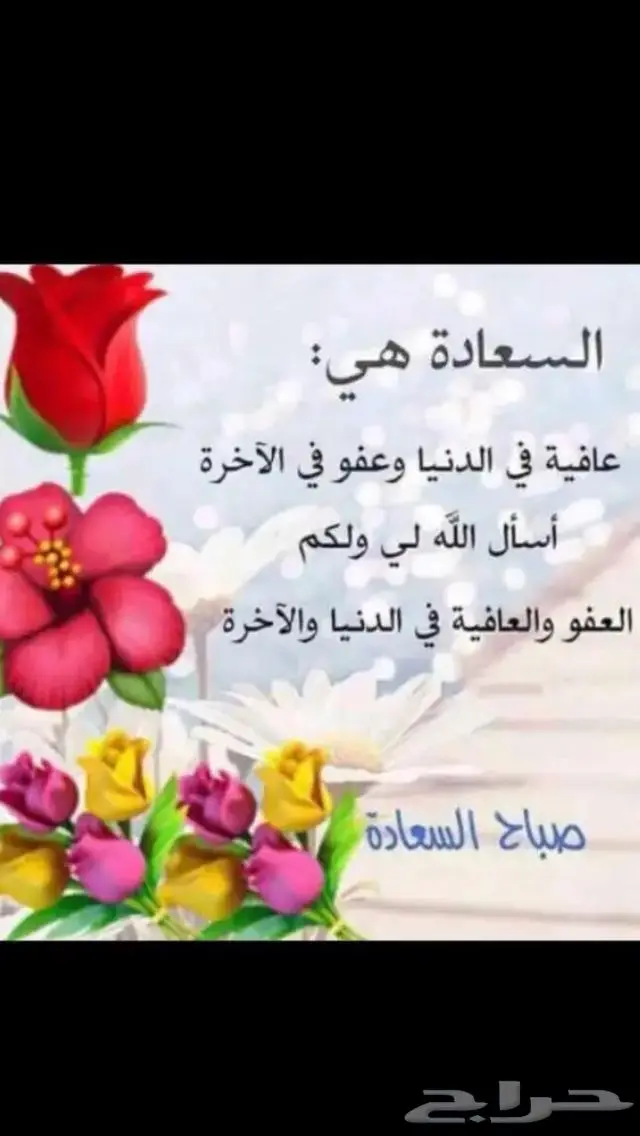 جديد فضة خواتم صيني جوده عالية ملكية اصلي بختم عيار 925 74