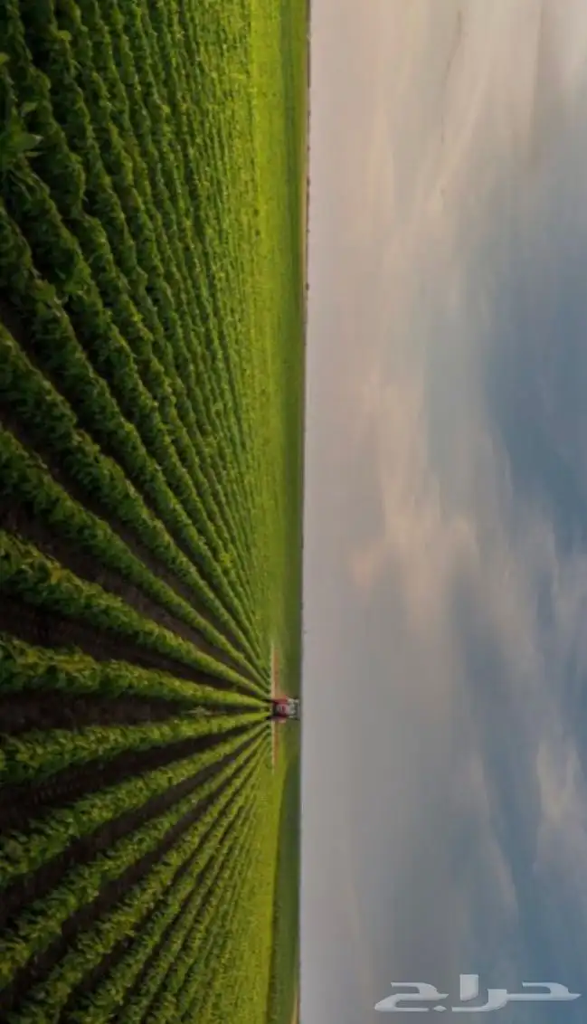 مهندس زراعي -مساح عام-فني كهرباء-ادارة مشاريع- مشغل للمشاريع 3