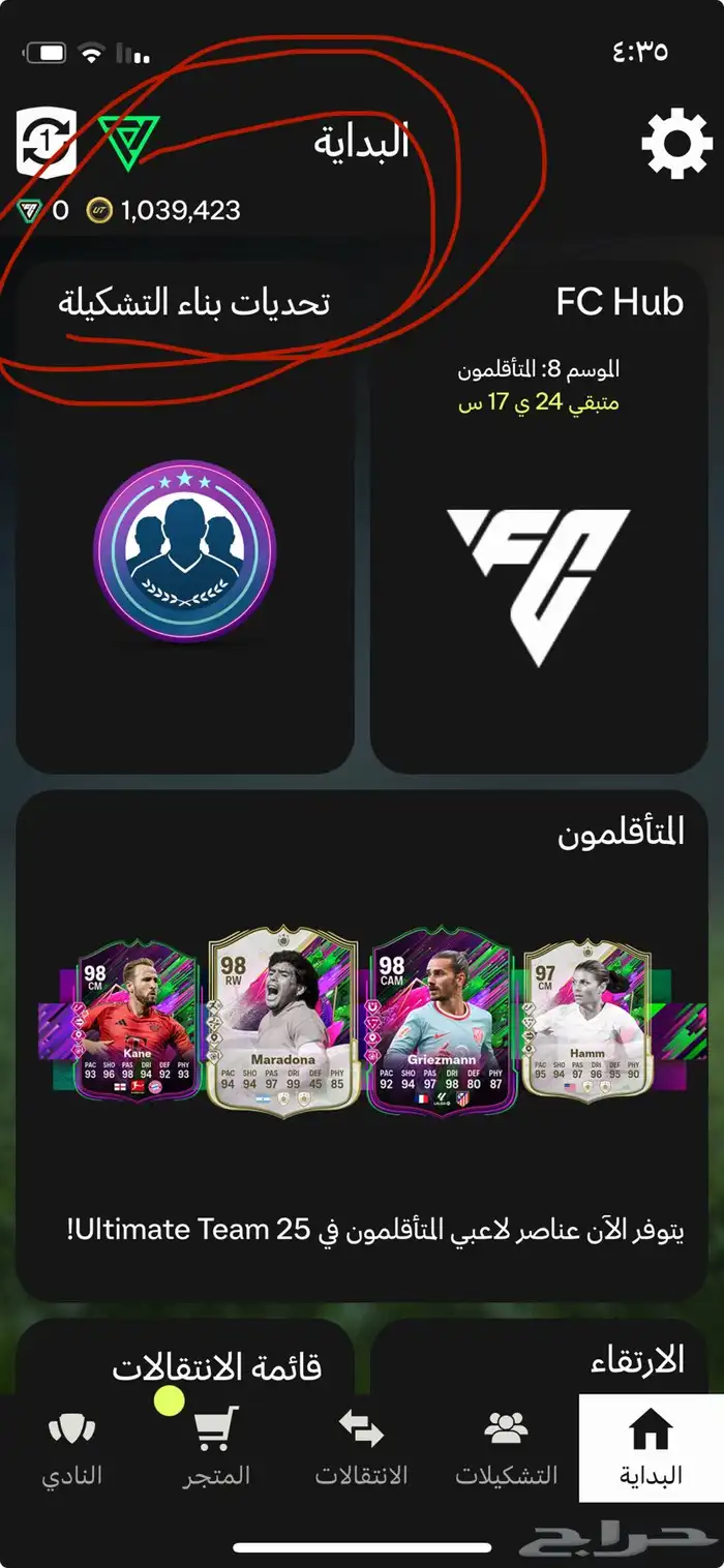 فيفا كوينز 0