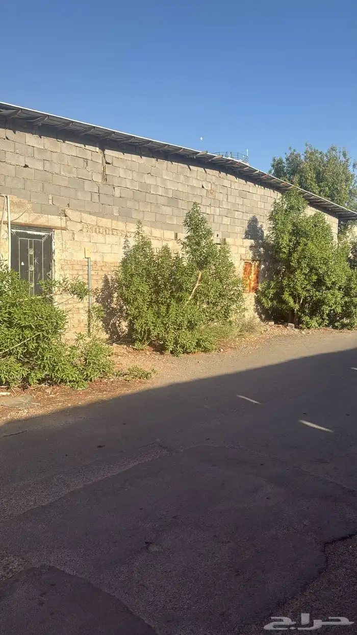 حوش مؤجر مستودع ثمور للبيع في المدينة المنورة 1