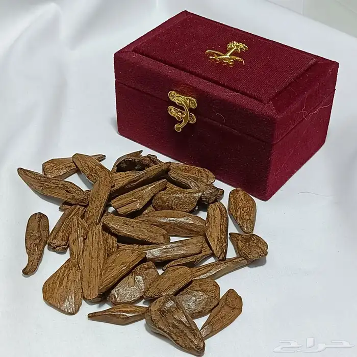 عود مروكي للأعياد والزواجات بياض وجه والاسعار الان بالجملة 4