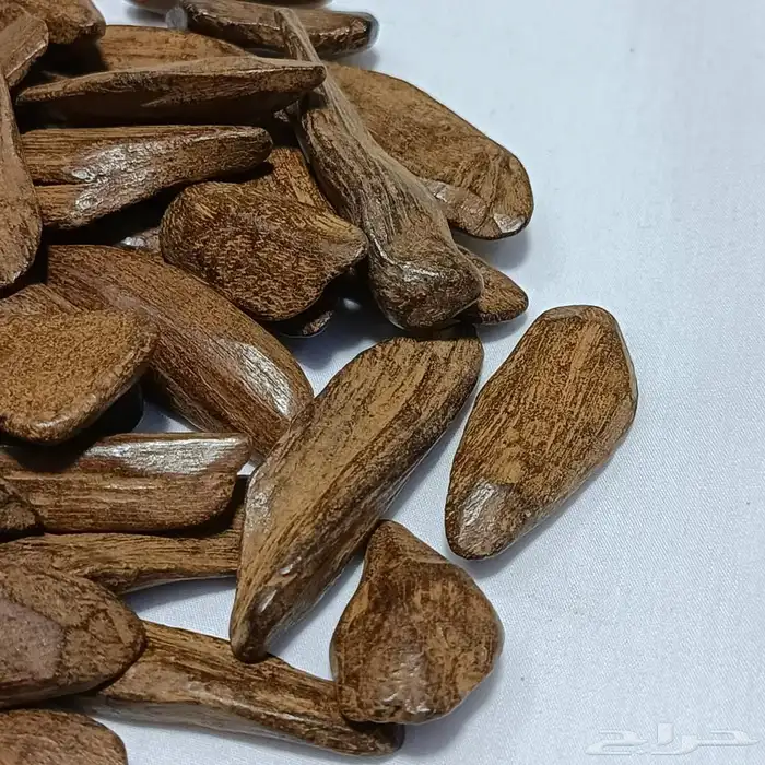 عود مروكي للأعياد والزواجات بياض وجه والاسعار الان بالجملة 1