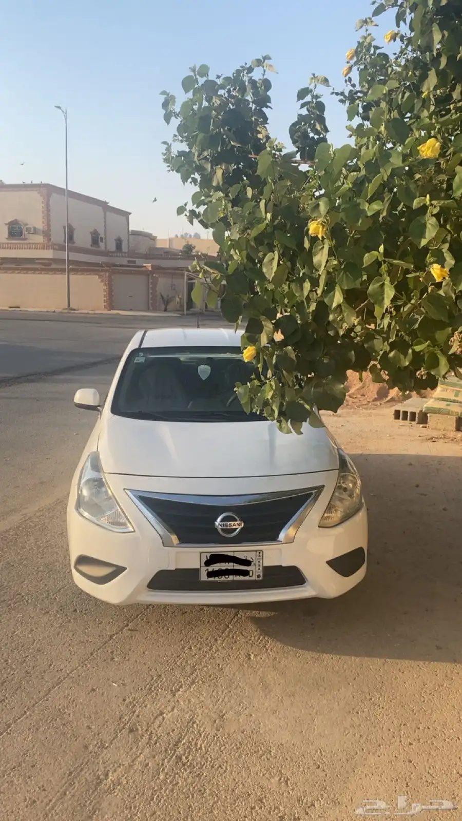 صني 2020 2