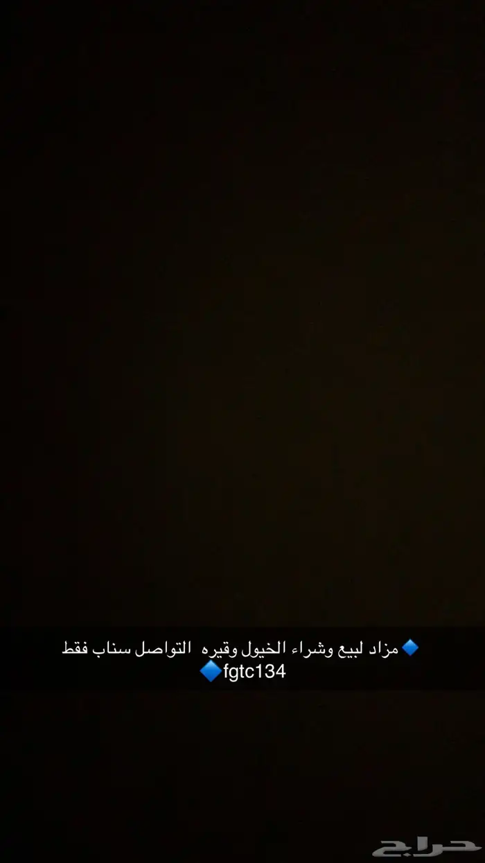 للبيع والشراء الخيول وأكثر التواصل سناب فقط 0