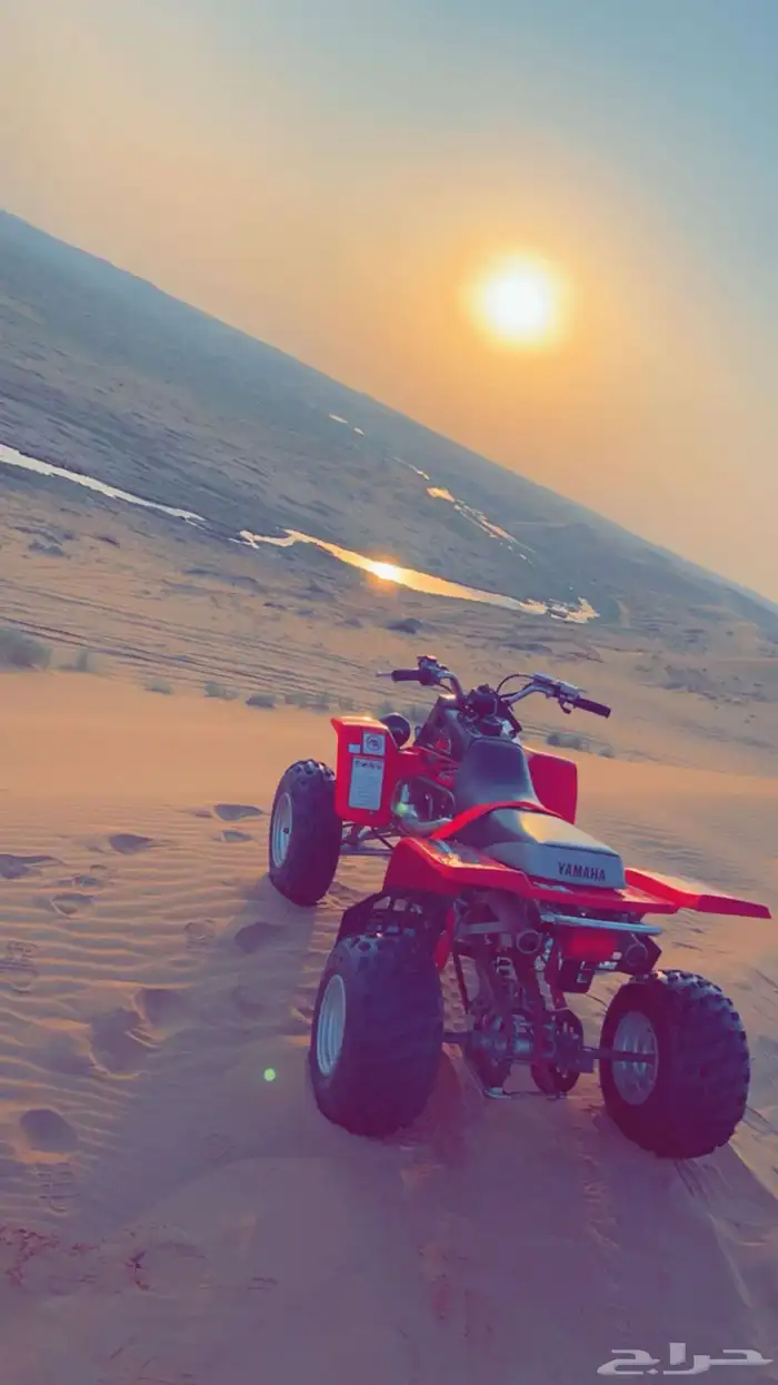 دباب بانشي 1