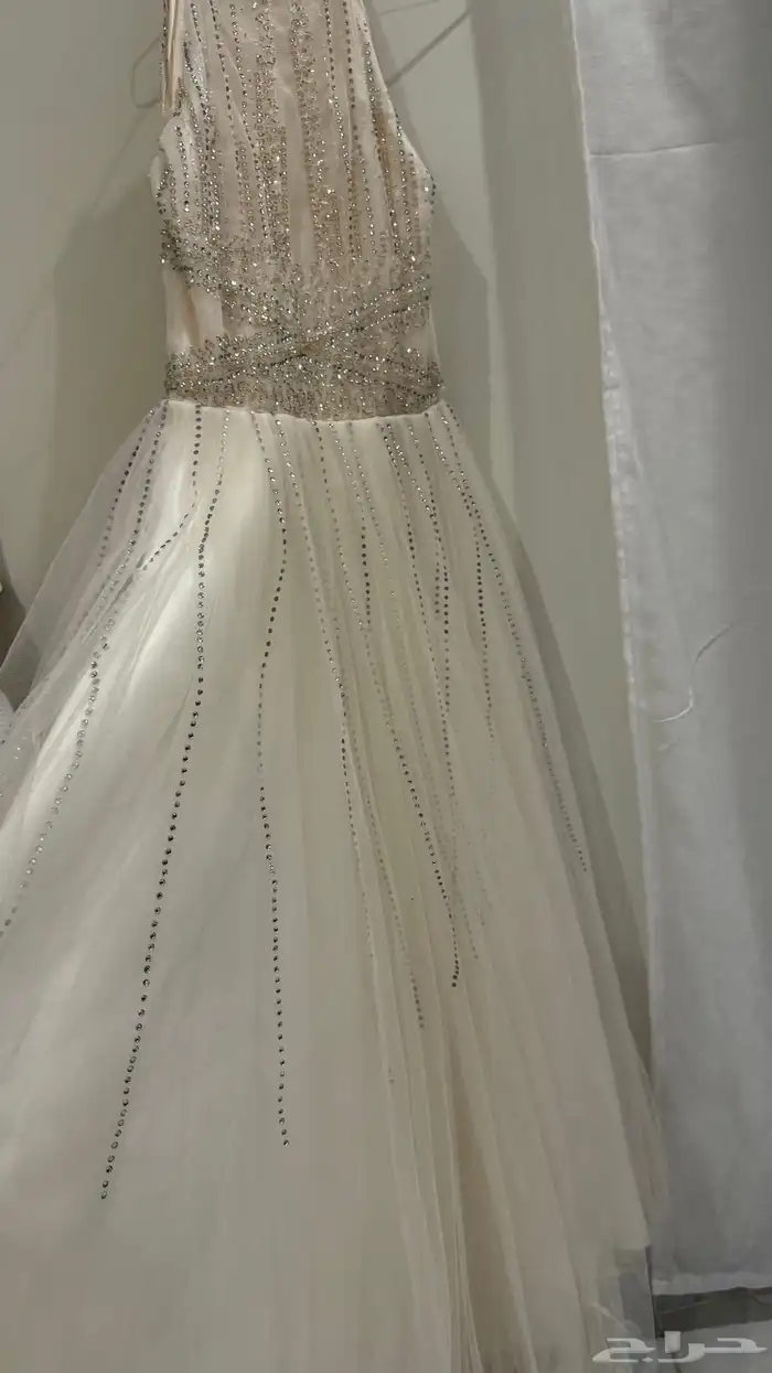 فستان ملكة استخدام يوم 0