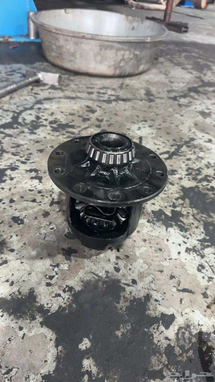 كرونه تو ويل فكتوريا 1