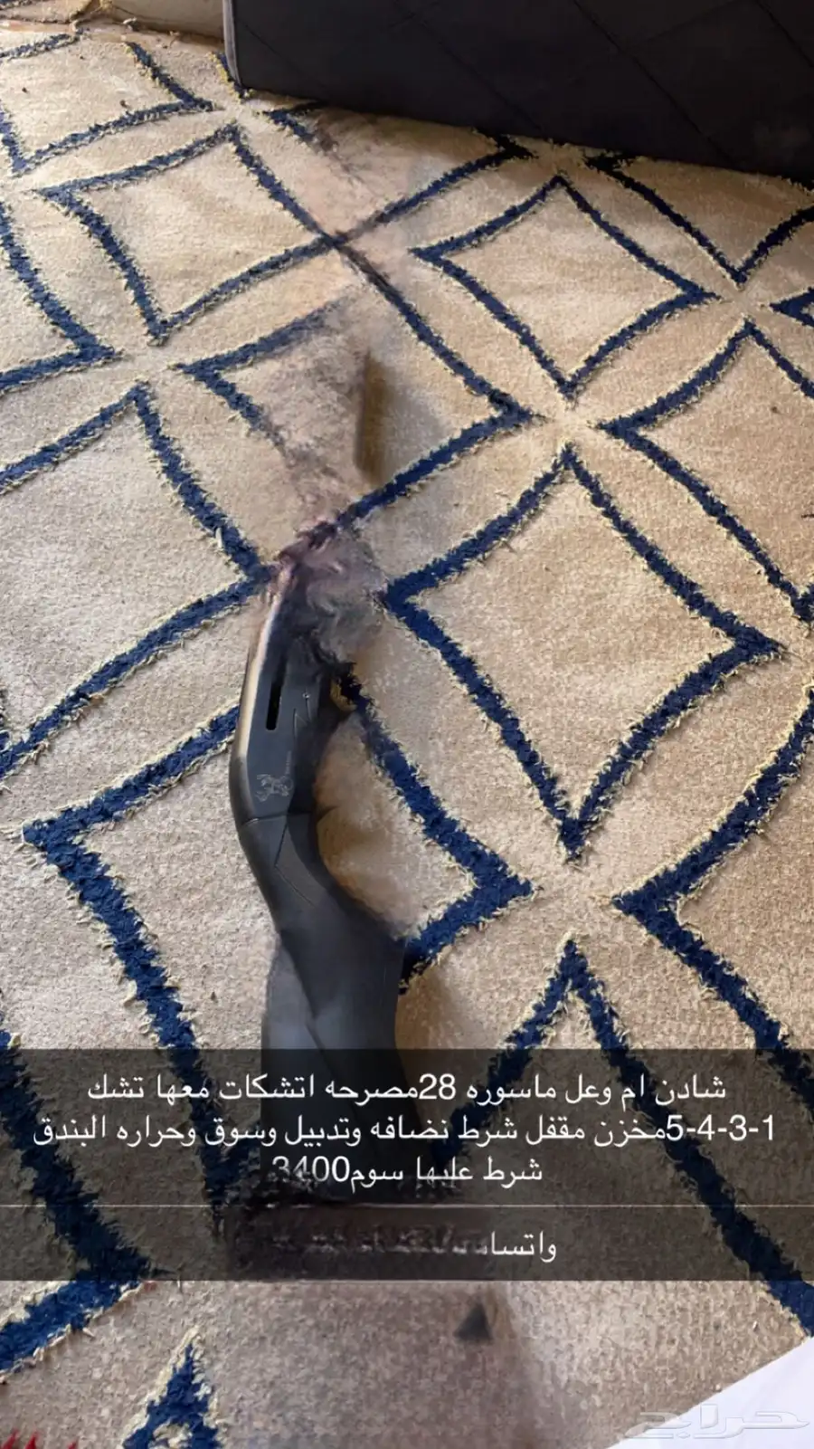 شادن ام وعل 0