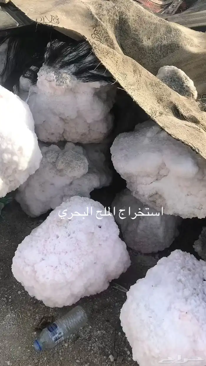 حجر ملح بحر بحري 0
