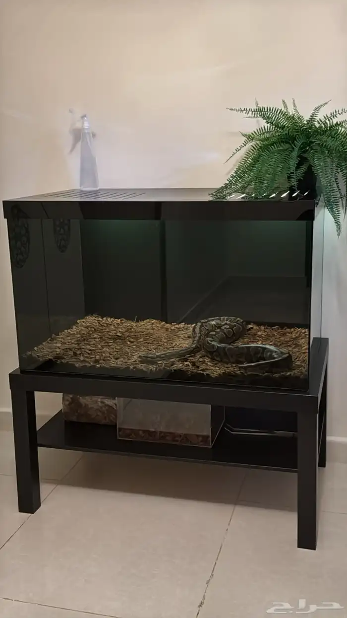 تفصيل أحواض زواحف 9