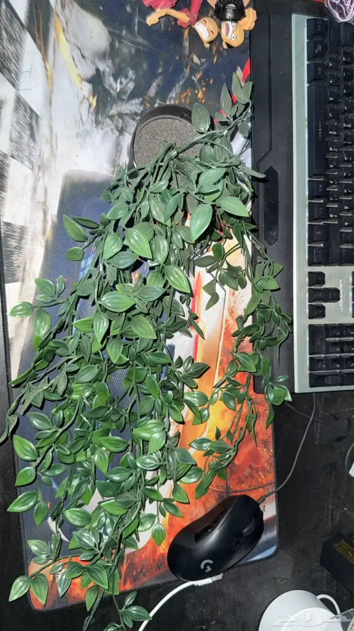 للبيع اغراض سيت اب 21