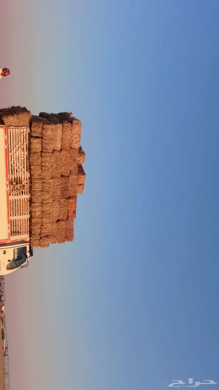 تبن حوالي 3